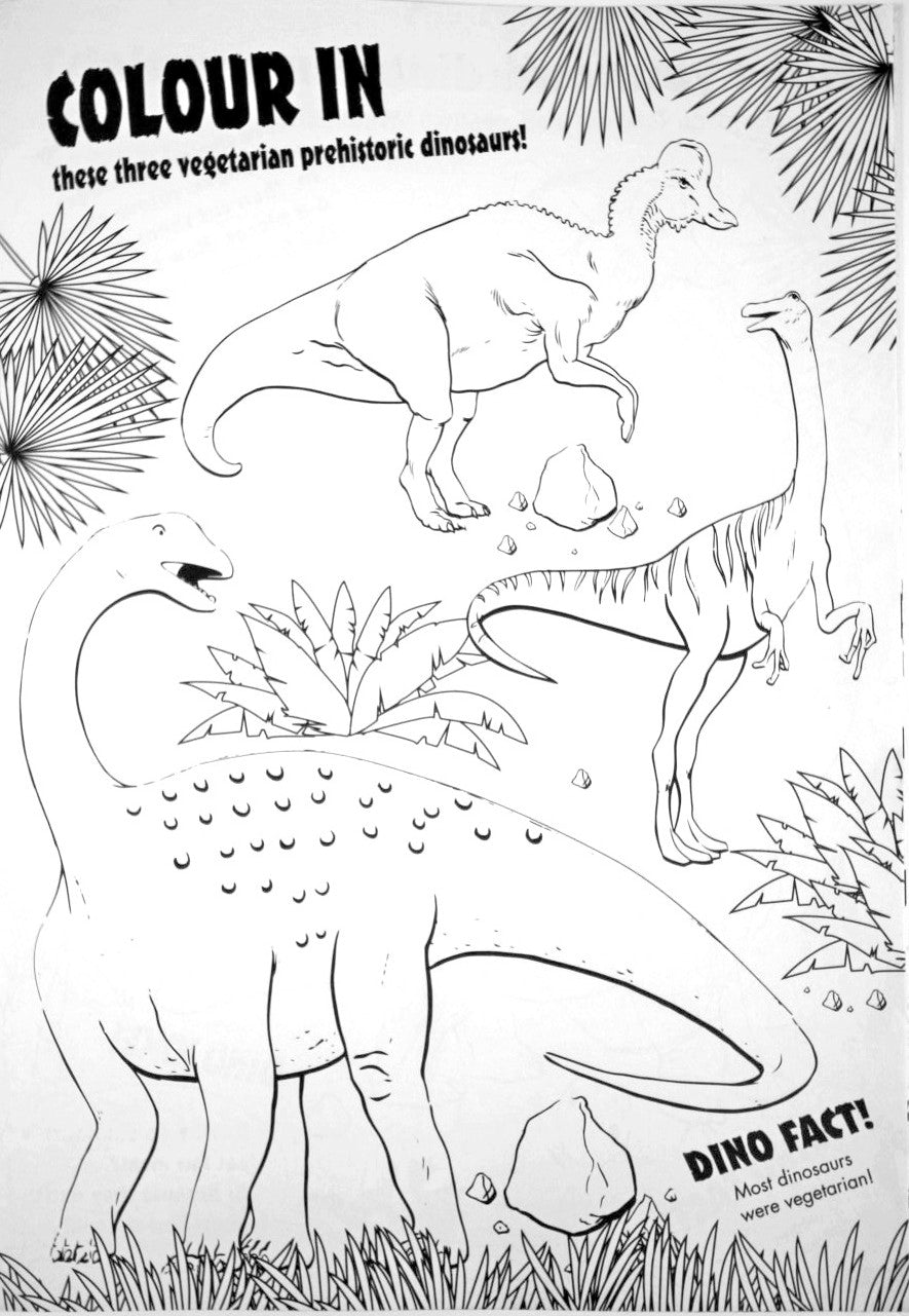 The Dinosaur Activity Book